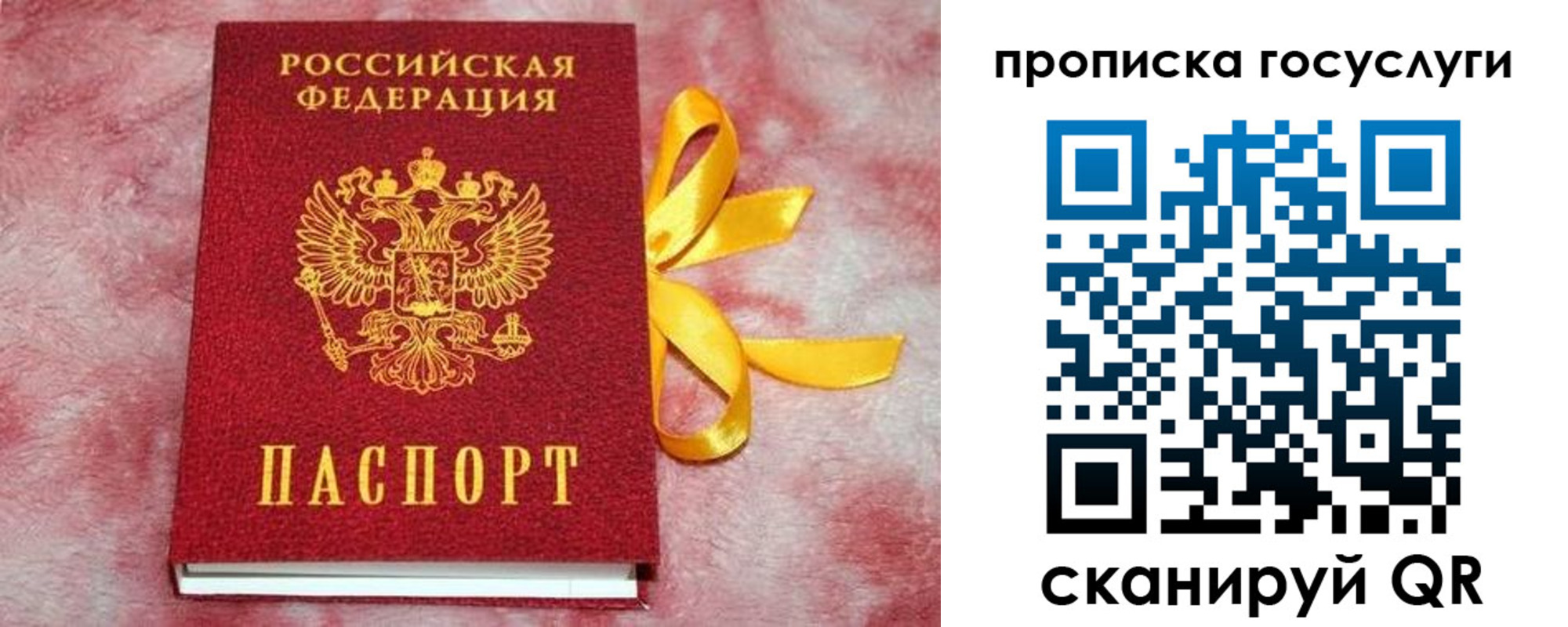 прописка законно в Алексеевке